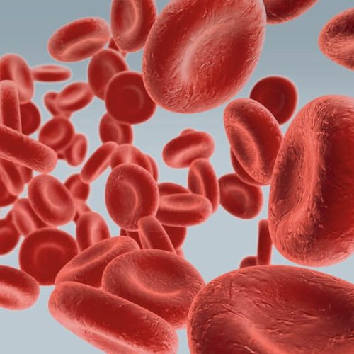 ali-terme-autoanalisi-sangue